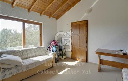 Urla, Kuşcular’da 110 Metre Kadastrol Yola Cepheli 14.030 m2 Tarla