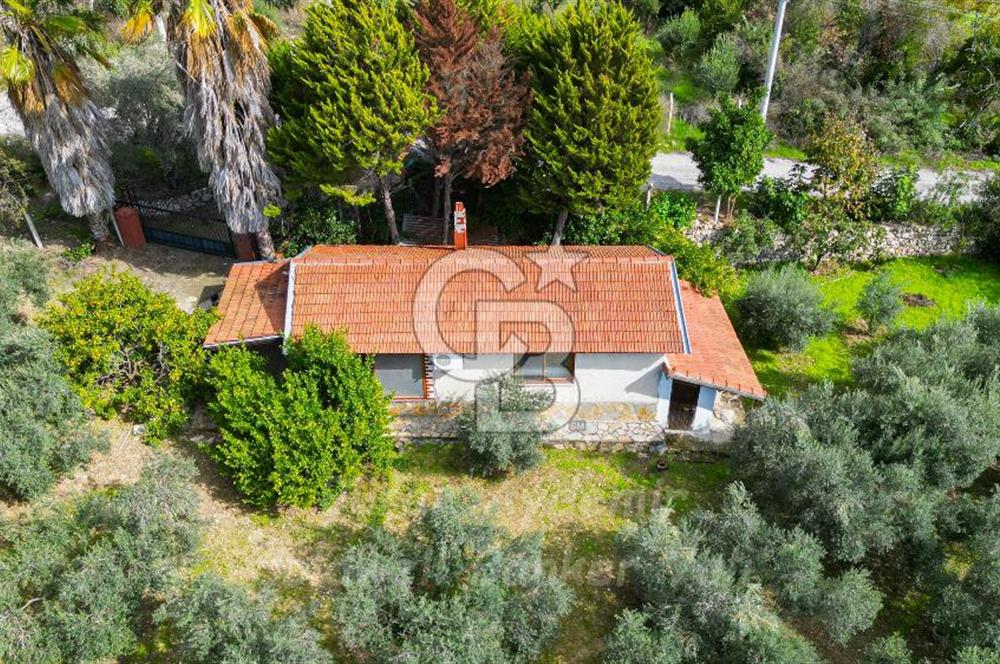 Urla, Kuşcular’da 110 Metre Kadastrol Yola Cepheli 14.030 m2 Tarla