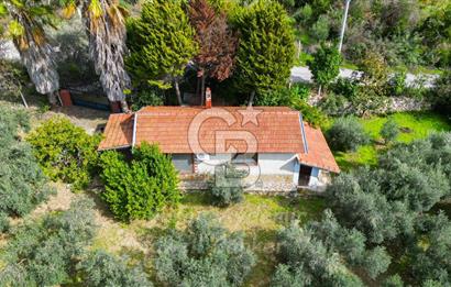 Urla, Kuşcular’da 110 Metre Kadastrol Yola Cepheli 14.030 m2 Tarla