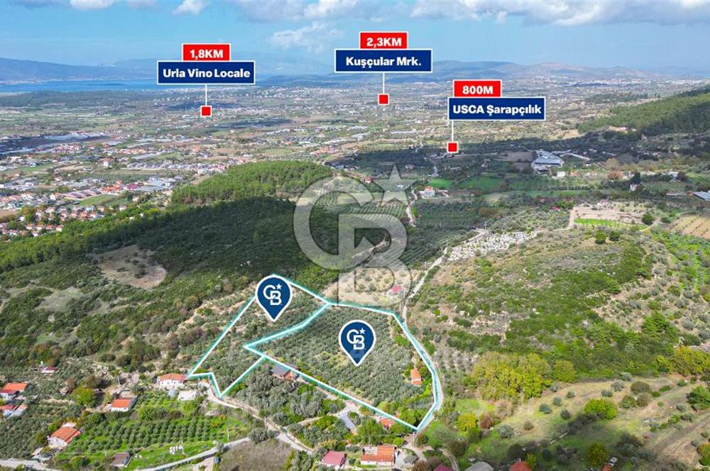 Urla, Kuşcular’da 110 Metre Kadastrol Yola Cepheli 14.030 m2 Tarla