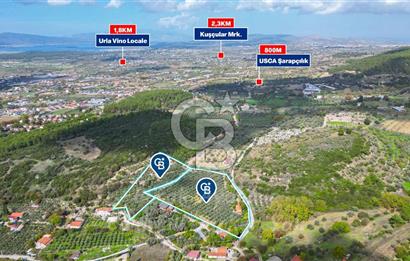 Urla, Kuşcular’da 110 Metre Kadastrol Yola Cepheli 14.030 m2 Tarla