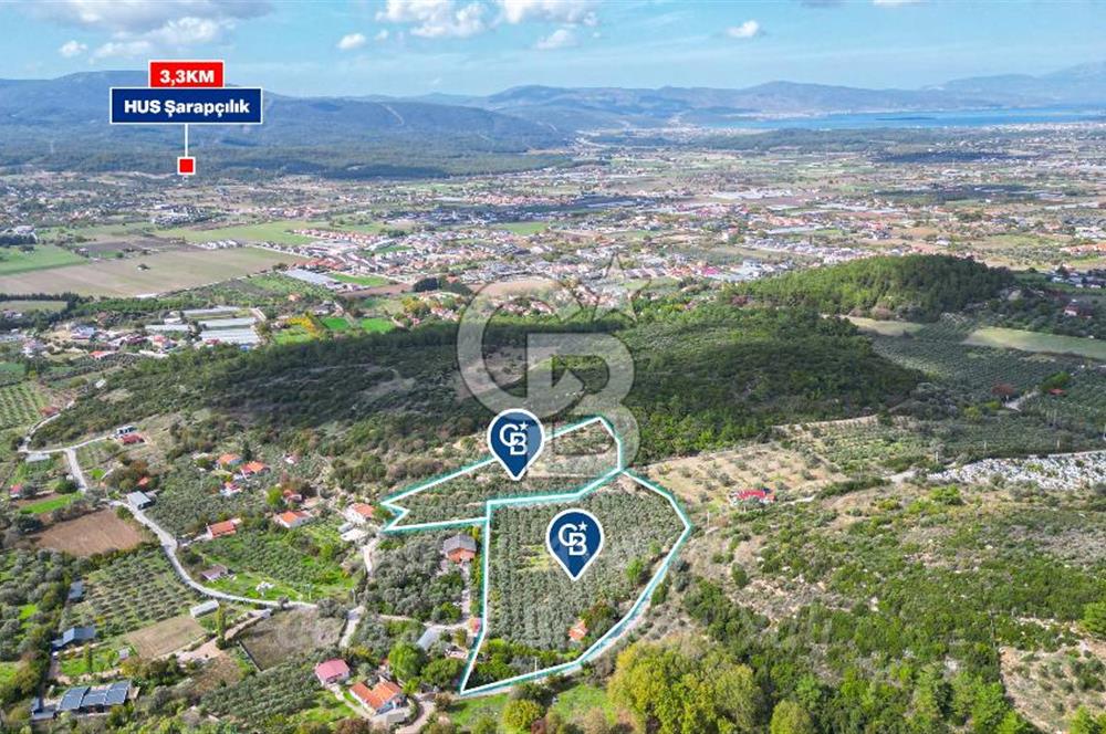 Urla, Kuşcular’da 110 Metre Kadastrol Yola Cepheli 14.030 m2 Tarla