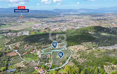 Urla, Kuşcular’da 110 Metre Kadastrol Yola Cepheli 14.030 m2 Tarla