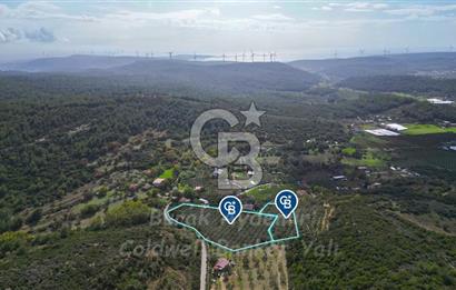 Urla, Kuşcular’da 110 Metre Kadastrol Yola Cepheli 14.030 m2 Tarla