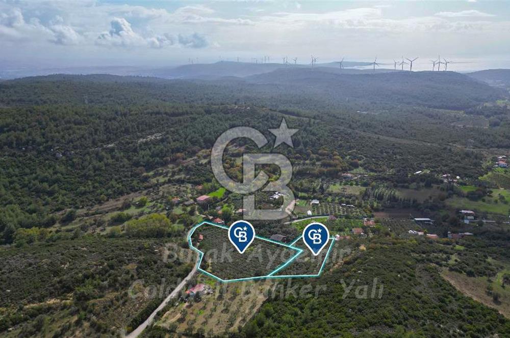 Urla, Kuşcular’da 110 Metre Kadastrol Yola Cepheli 14.030 m2 Tarla