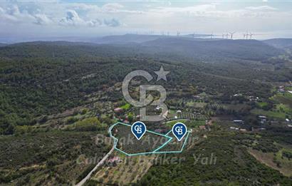 Urla, Kuşcular’da 110 Metre Kadastrol Yola Cepheli 14.030 m2 Tarla