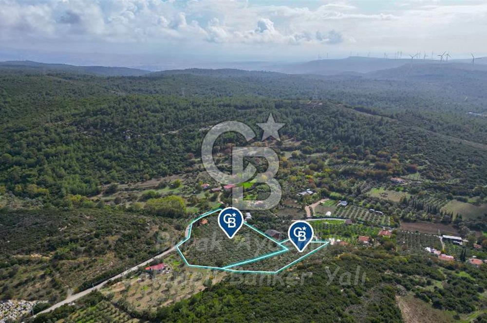 Urla, Kuşcular’da 110 Metre Kadastrol Yola Cepheli 14.030 m2 Tarla