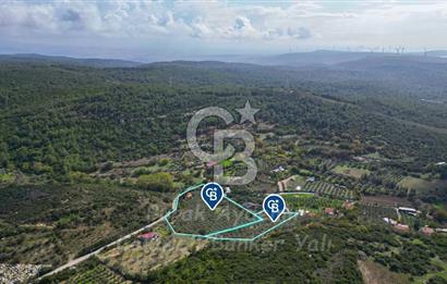 Urla, Kuşcular’da 110 Metre Kadastrol Yola Cepheli 14.030 m2 Tarla