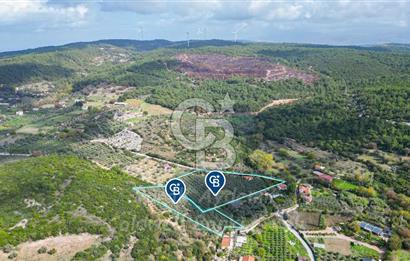 Urla, Kuşcular’da 110 Metre Kadastrol Yola Cepheli 14.030 m2 Tarla