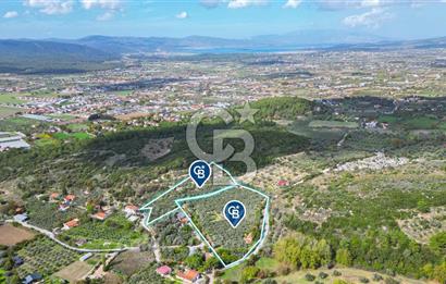Urla, Kuşcular’da 110 Metre Kadastrol Yola Cepheli 14.030 m2 Tarla