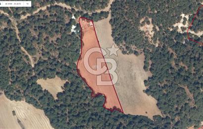 ÇANAKKALE MERKEZ ÇINARLI KÖYÜ’NDE YOLA CEPHELİ 10.747 m² YATIRIMLIK TARLA!