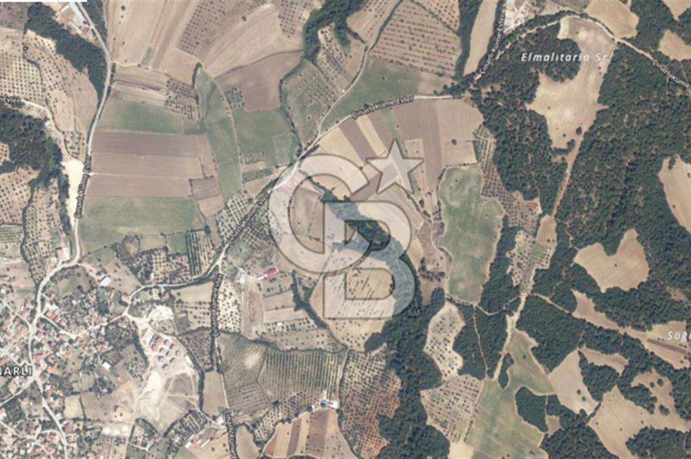 ÇANAKKALE MERKEZ ÇINARLI KÖYÜ’NDE YOLA CEPHELİ 10.747 m² YATIRIMLIK TARLA!