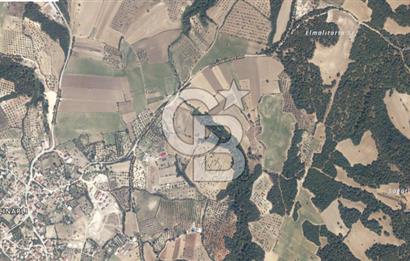 ÇANAKKALE MERKEZ ÇINARLI KÖYÜ’NDE YOLA CEPHELİ 10.747 m² YATIRIMLIK TARLA!
