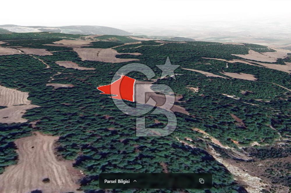 ÇANAKKALE MERKEZ ÇINARLI KÖYÜ’NDE YOLA CEPHELİ 10.747 m² YATIRIMLIK TARLA!