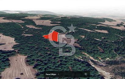 ÇANAKKALE MERKEZ ÇINARLI KÖYÜ’NDE YOLA CEPHELİ 10.747 m² YATIRIMLIK TARLA!