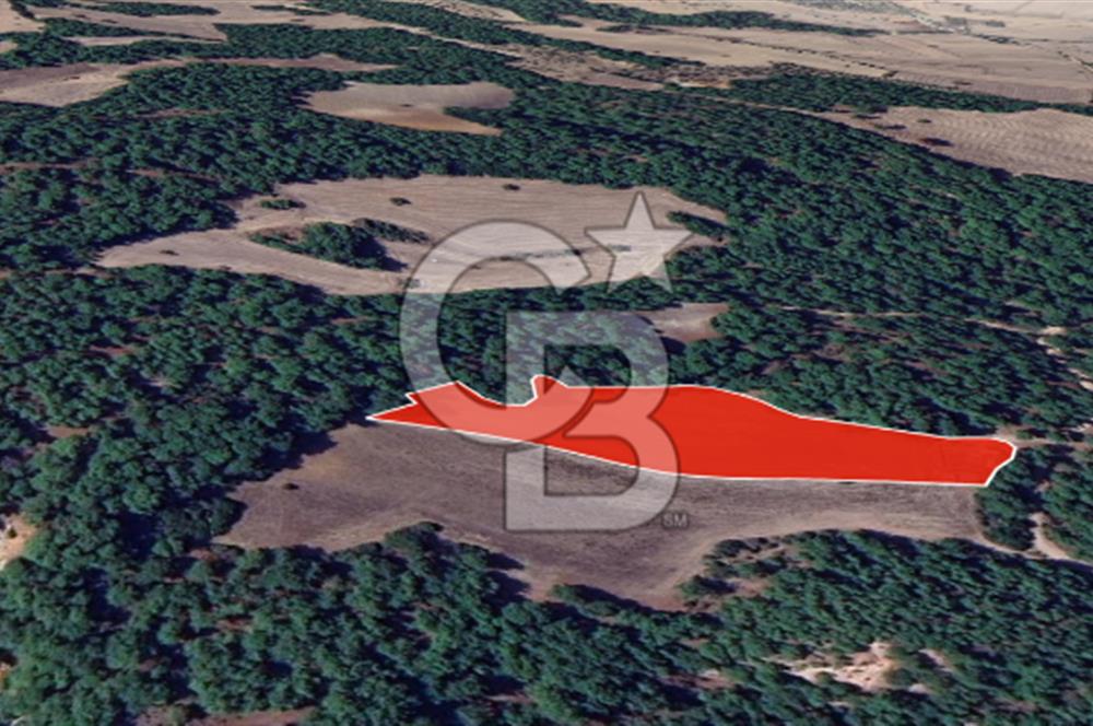 ÇANAKKALE MERKEZ ÇINARLI KÖYÜ’NDE YOLA CEPHELİ 10.747 m² YATIRIMLIK TARLA!