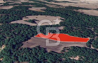 ÇANAKKALE MERKEZ ÇINARLI KÖYÜ’NDE YOLA CEPHELİ 10.747 m² YATIRIMLIK TARLA!