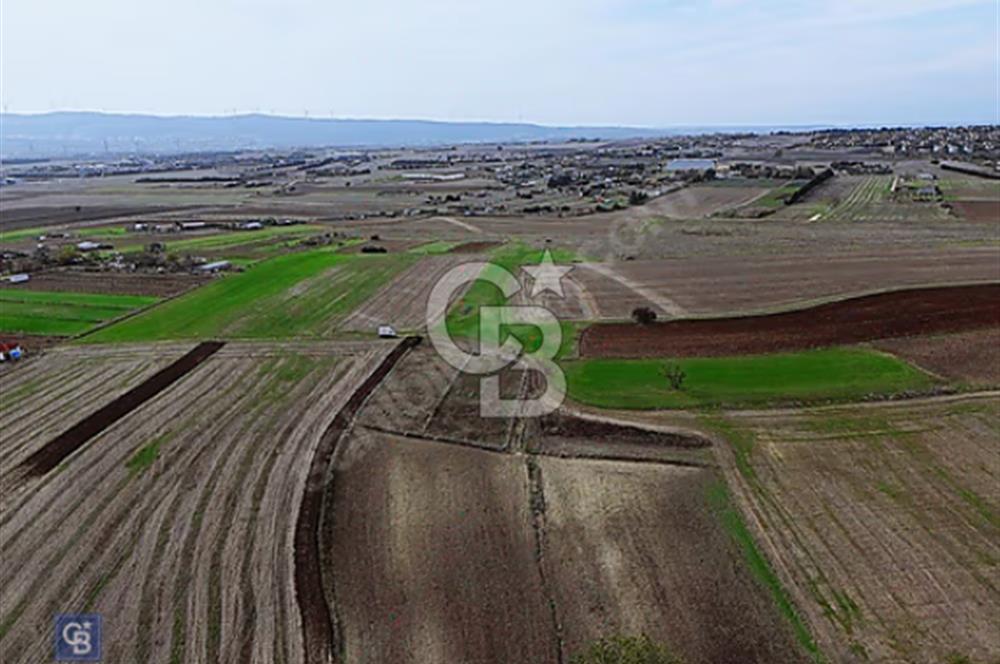 ÇATALCA İZZETTİN DE SATILIK 1012 m² ARSA