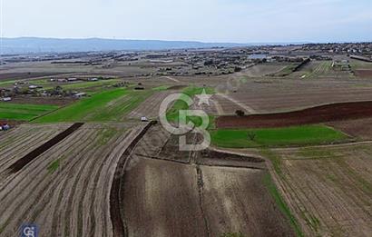 ÇATALCA İZZETTİN DE SATILIK 1012 m² ARSA