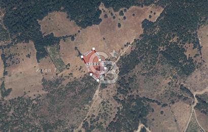 bayramiç sarıotta 43000m2 tarla