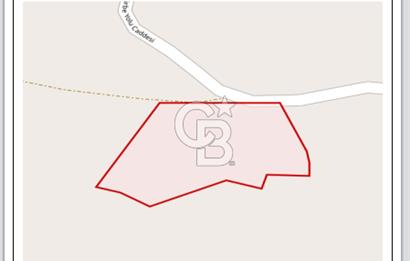 ŞİLE HACILLI, KÖYİÇİ, YOLA CEPHE, MÜSTAKİL SATILIK ARSA