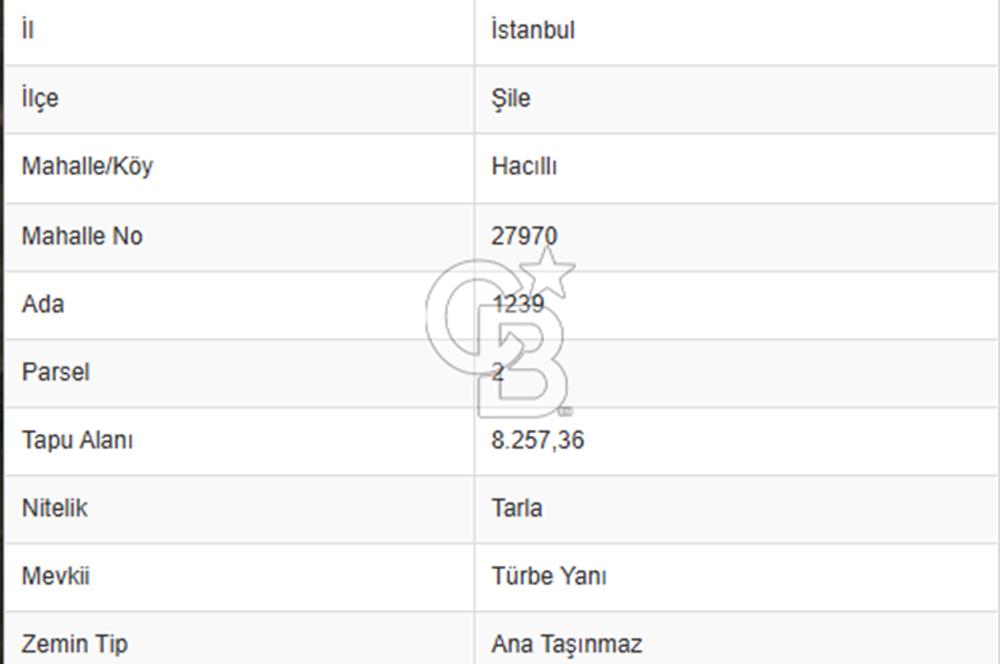 ŞİLE HACILLI, KÖYİÇİ, YOLA CEPHE, MÜSTAKİL SATILIK ARSA