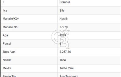 ŞİLE HACILLI, KÖYİÇİ, YOLA CEPHE, MÜSTAKİL SATILIK ARSA