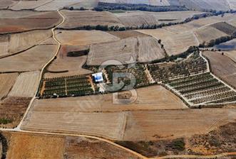 CB CLASS BANDIRMA ERİKLİ SATILIK ÇİFTLİK VE ARSASI