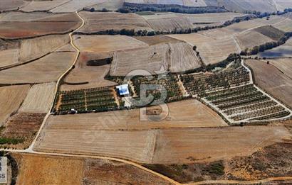 CB CLASS BANDIRMA ERİKLİ SATILIK ÇİFTLİK VE ARSASI