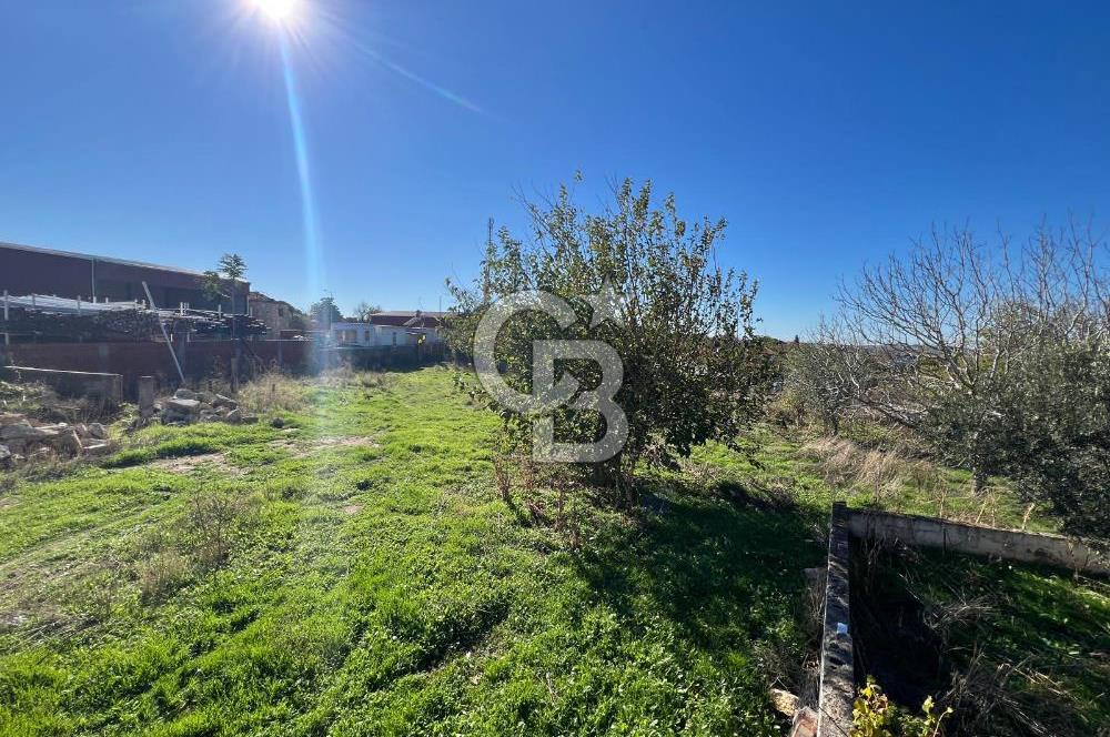 ÇANAKKALE TEVFİKİYE KÖYÜ SATILIK KÖY İÇİ İMARLI ARSA