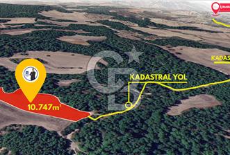 ÇANAKKALE MERKEZ ÇINARLI KÖYÜ’NDE YOLA CEPHELİ 10.747 m² YATIRIMLIK TARLA! - 9 - 310980
