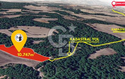 ÇANAKKALE MERKEZ ÇINARLI KÖYÜ’NDE YOLA CEPHELİ 10.747 m² YATIRIMLIK TARLA!