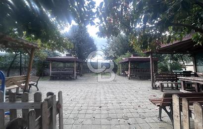 Kurtköy Palmiye Sitesinde Yenilenmiş Kiralık 3+1 Daire