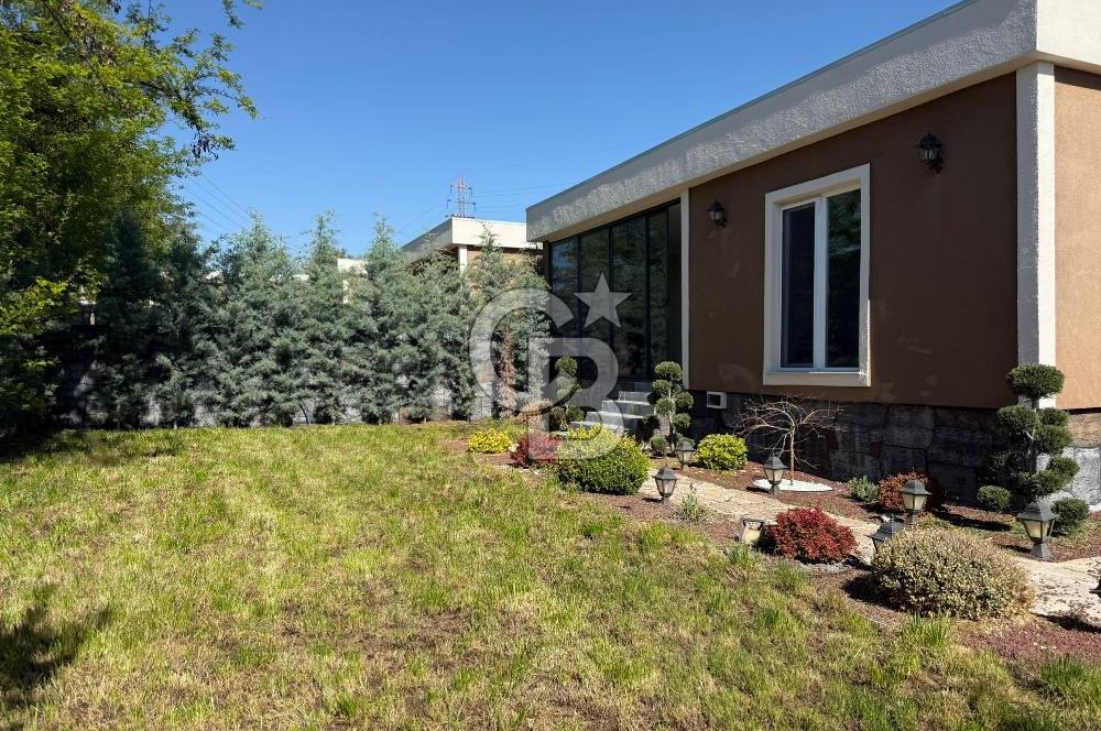 OLUKPINAR FLORA LİFE BOTANİK ACİL SATILIK 2+1