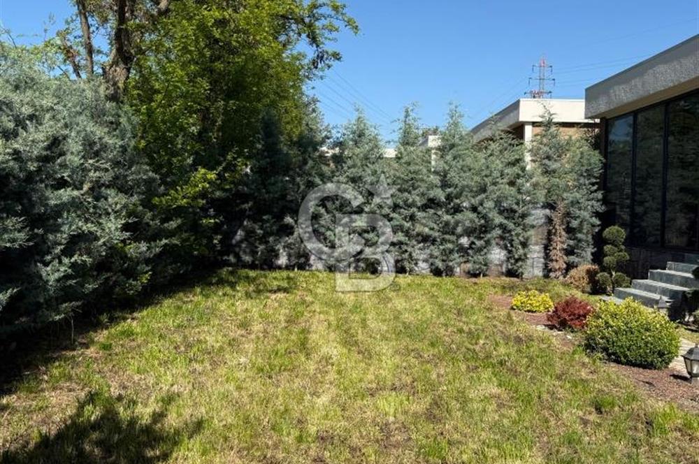 OLUKPINAR FLORA LİFE BOTANİK ACİL SATILIK 2+1