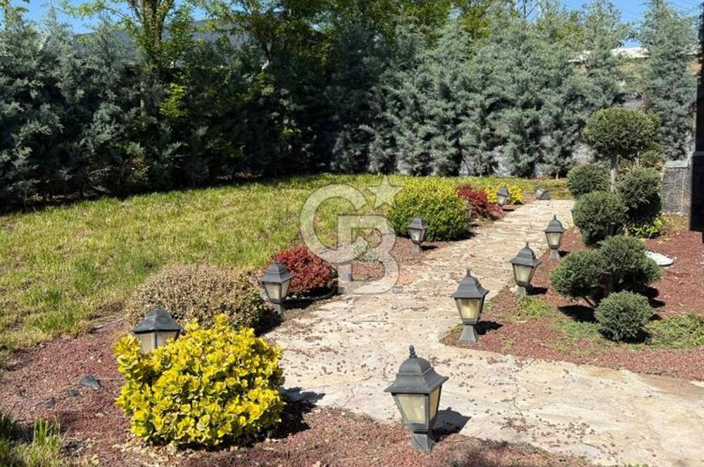 OLUKPINAR FLORA LİFE BOTANİK ACİL SATILIK 2+1