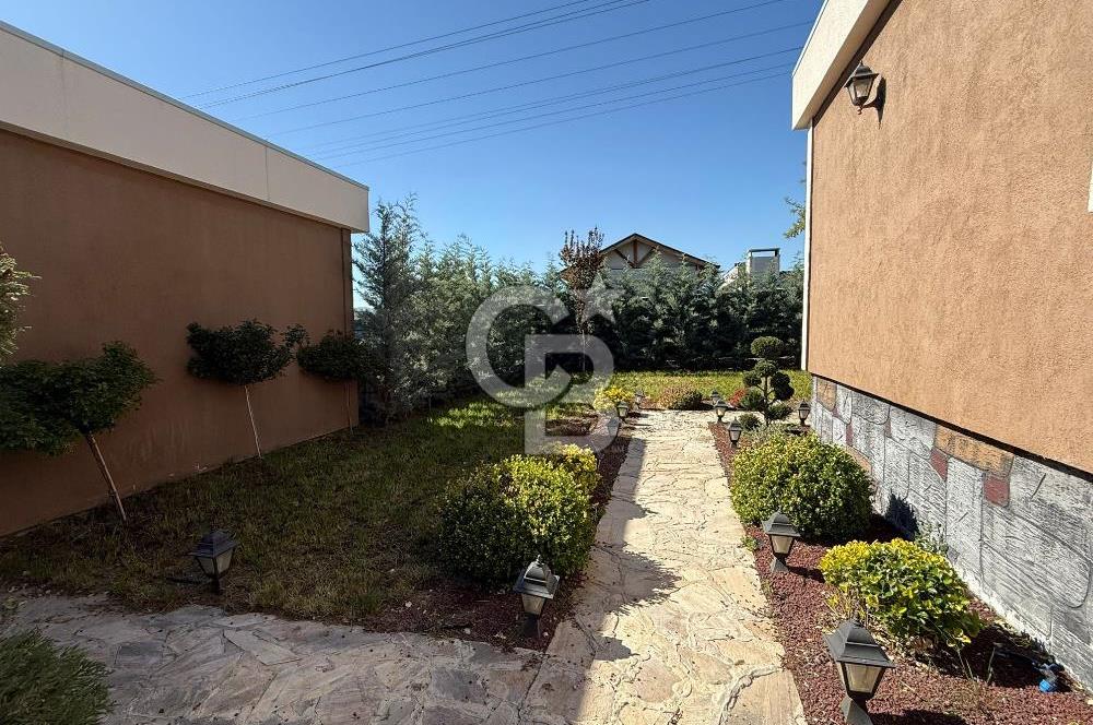 OLUKPINAR FLORA LİFE BOTANİK ACİL SATILIK 2+1