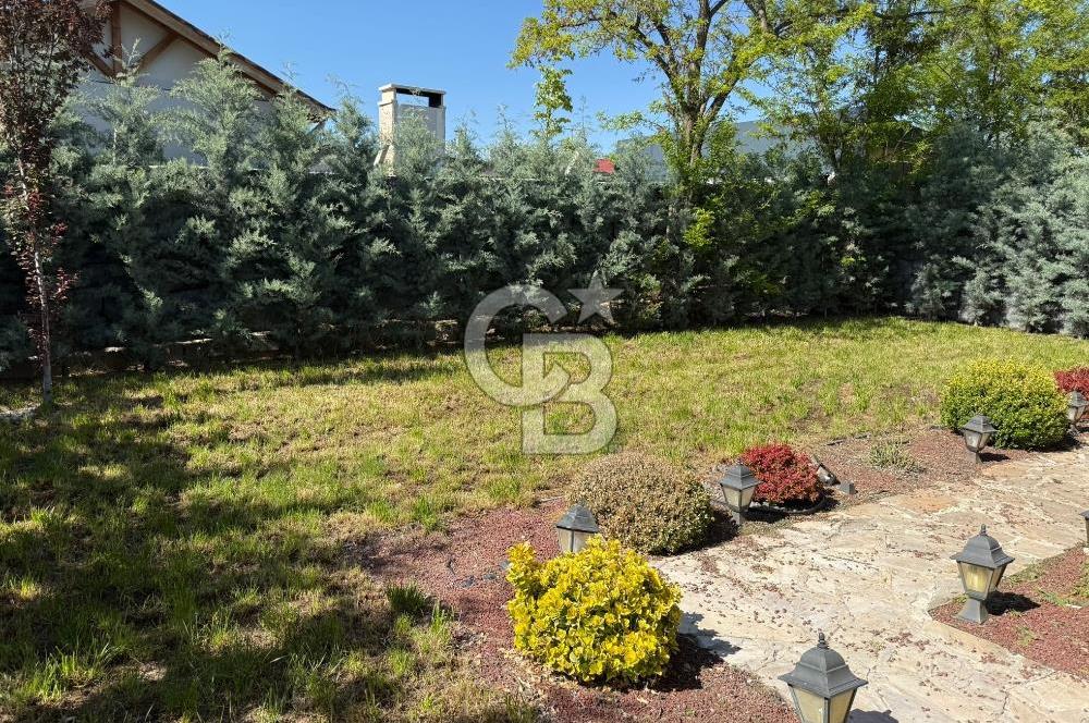 OLUKPINAR FLORA LİFE BOTANİK ACİL SATILIK 2+1