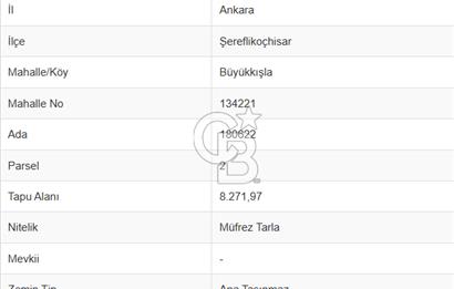 ŞEREFLİKOÇHİSAR BÜYÜKKIŞLA'DA SATILIK (MÜSTAKİL PARSEL) TARLA