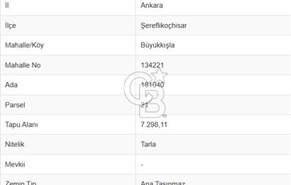 ŞEREFLİKOÇHİSAR BÜYÜKKIŞLA'DA SATILIK (MÜSTAKİL PARSEL) TARLA