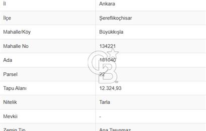 ŞEREFLİKOÇHİSAR BÜYÜKKIŞLA'DA SATILIK (MÜSTAKİL PARSEL) TARLA