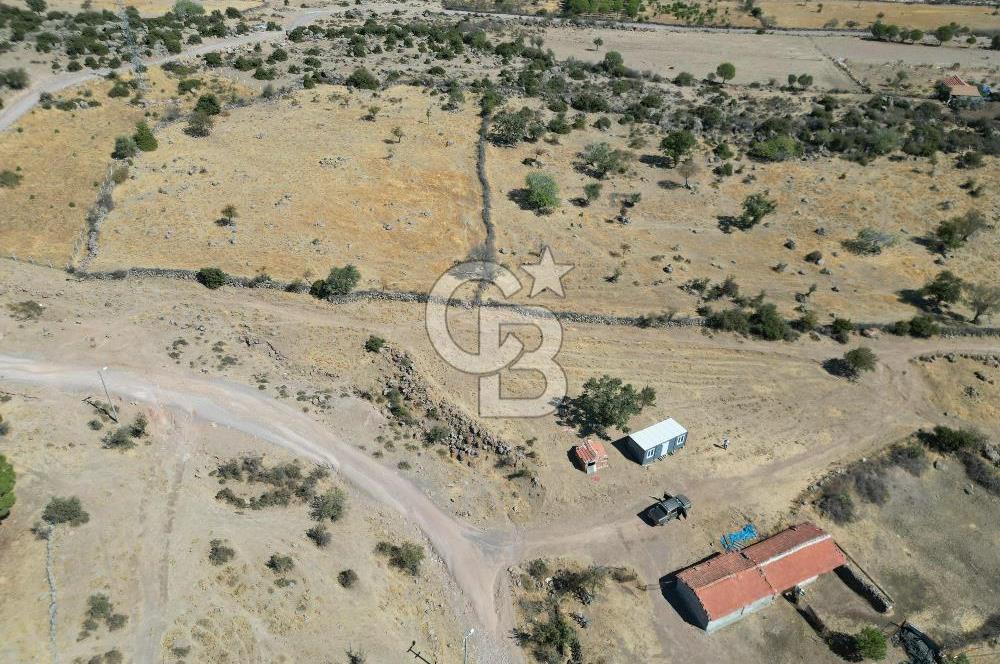 AYVALIK BEŞİKTEPE KÖYÜNDE 3.360 m² GELİŞİME AÇIK HAM TOPRAK