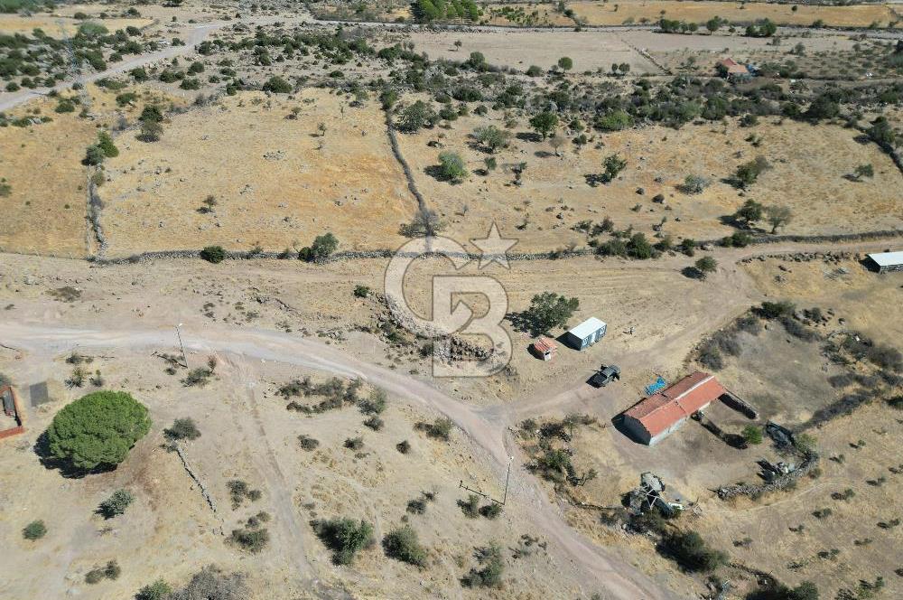 AYVALIK BEŞİKTEPE KÖYÜNDE 3.360 m² GELİŞİME AÇIK HAM TOPRAK