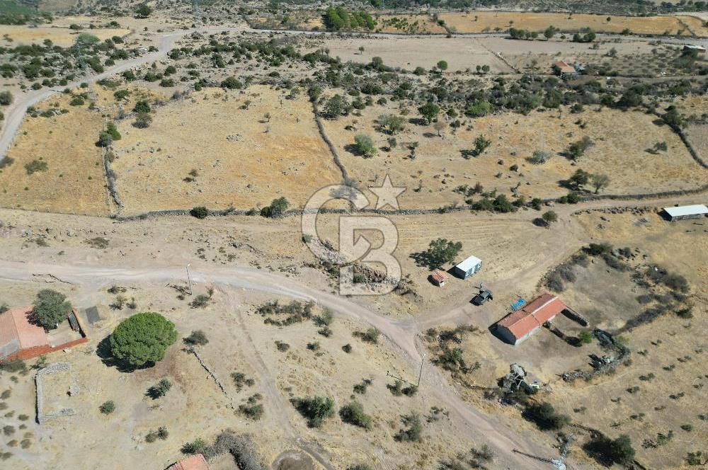 AYVALIK BEŞİKTEPE KÖYÜNDE 3.360 m² GELİŞİME AÇIK HAM TOPRAK