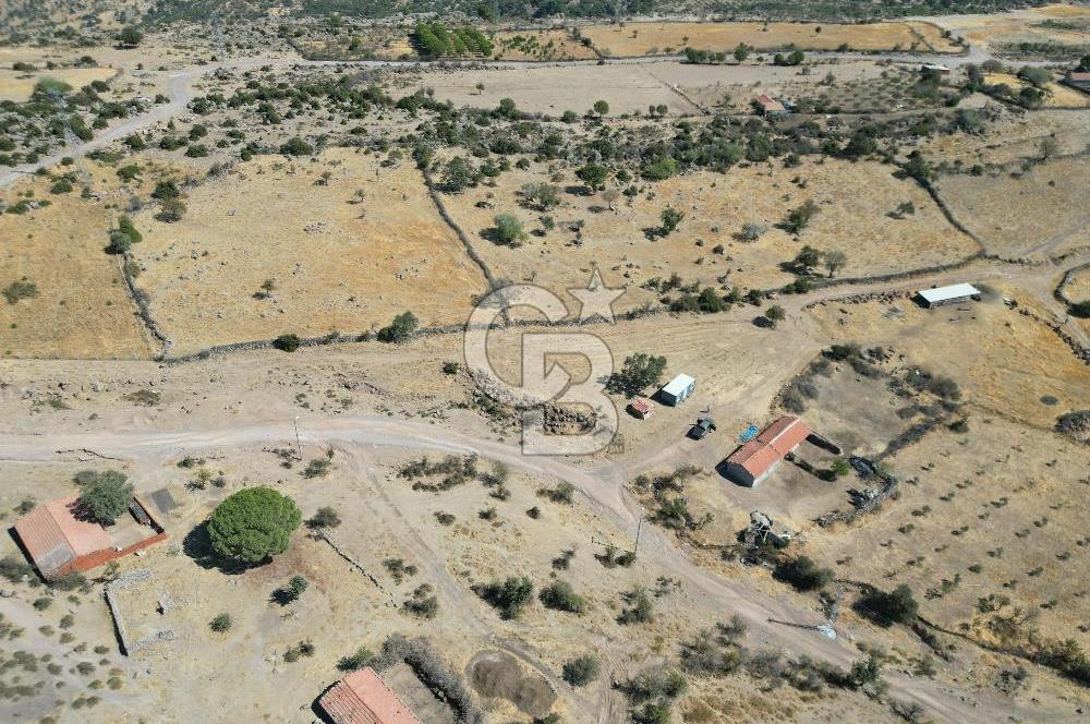 AYVALIK BEŞİKTEPE KÖYÜNDE 3.360 m² GELİŞİME AÇIK HAM TOPRAK