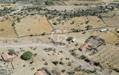 AYVALIK BEŞİKTEPE KÖYÜNDE 3.360 m² GELİŞİME AÇIK HAM TOPRAK