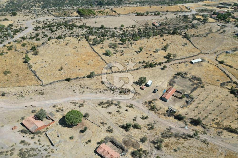 AYVALIK BEŞİKTEPE KÖYÜNDE 3.360 m² GELİŞİME AÇIK HAM TOPRAK