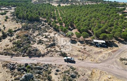 AYVALIK BEŞİKTEPE KÖYÜNDE 3.231 m² HAM TOPRAK YATIRIMLIK ARAZİ