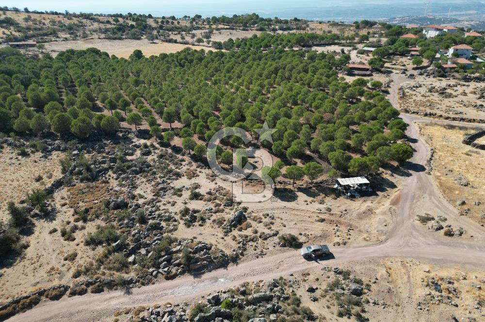 AYVALIK BEŞİKTEPE KÖYÜNDE 3.231 m² HAM TOPRAK YATIRIMLIK ARAZİ