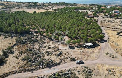 AYVALIK BEŞİKTEPE KÖYÜNDE 3.231 m² HAM TOPRAK YATIRIMLIK ARAZİ